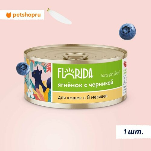 FLORIDA Консервы для кошек "Ягненок с черникой", 100 г