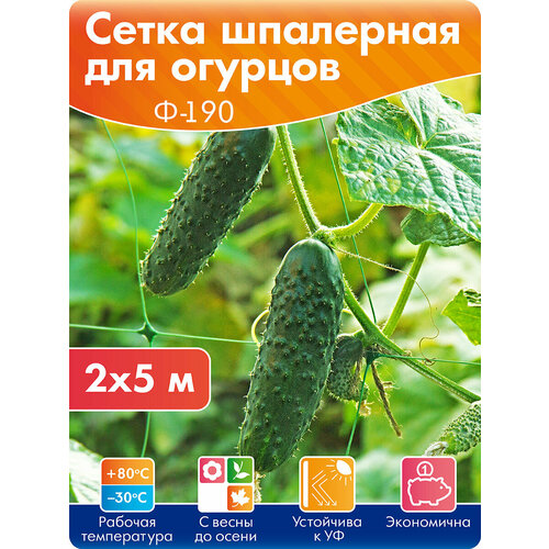 Сетка для огурцов шпалерная 2*5 м, размер ячейки 15*19 см, Протэкт зеленый, зелeный