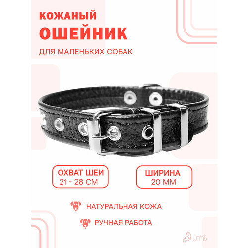 фото Кожаный ошейник (обхват шеи 21-28 см.) для собак / черный цвет umbi