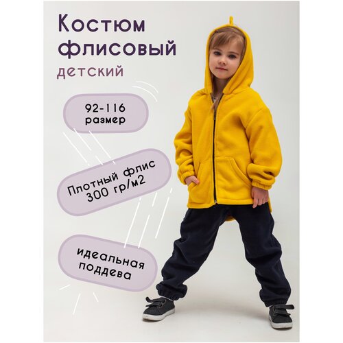 Костюм флисовый комплект детский для мальчика для девочки Дино кофта штаны брюки джоггеры, размер 92