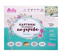 Molly Картина по номерам "Ромашки в вазе" 40х50 см (KD0067)