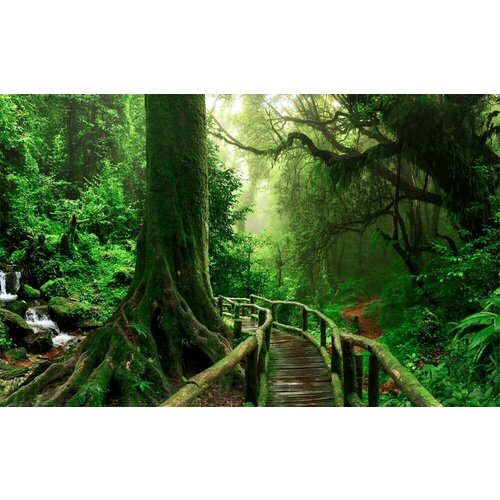 Моющиеся виниловые фотообои Деревянный мостик в лесу, 400х250 см моющиеся виниловые фотообои деревянный мостик в лесу 300х290 см