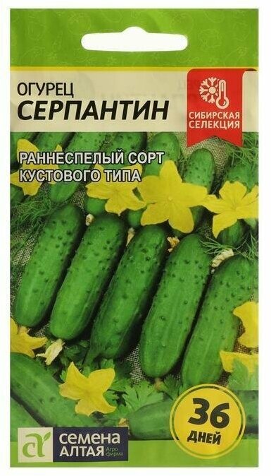 Семена Огурец 