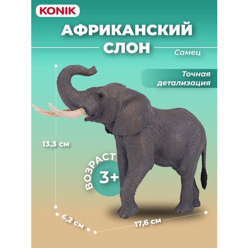 Фигурка-игрушка Африканский слон, самец, AMW2003, KONIK фигурка konik африканский слон самец