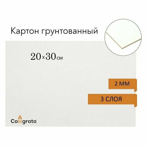 Картон грунтованный акрил 20 х 30 cм, 2 мм, 5 шт. картон грунтованный 20 х 30 см