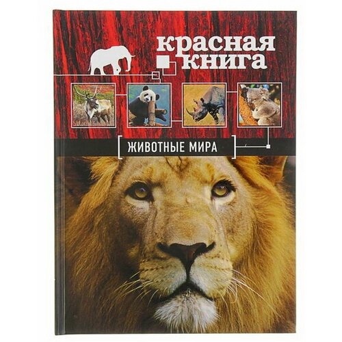 Красная книга Животные мира. Скалдина О. В, Слиж Е. А. скалдина о слиж е большая красная книга стерео варио