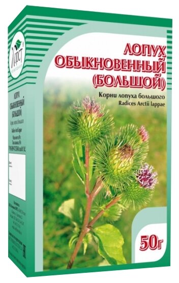 Хорст Лопух обыкновенный (большой)