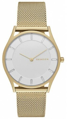 Наручные часы SKAGEN Holst SKW2377