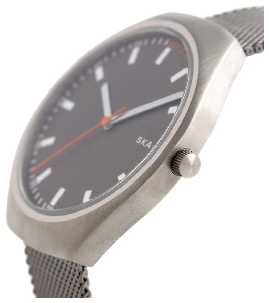 Наручные часы SKAGEN SKW6387