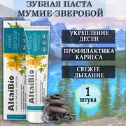 Паста зубная комплексный уход Мумиё-Зверобой 75 мл/100 г AltaiBio