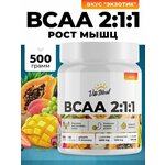 VitaMeal BCAA 2:1:1, порошок 500 гр - изображение