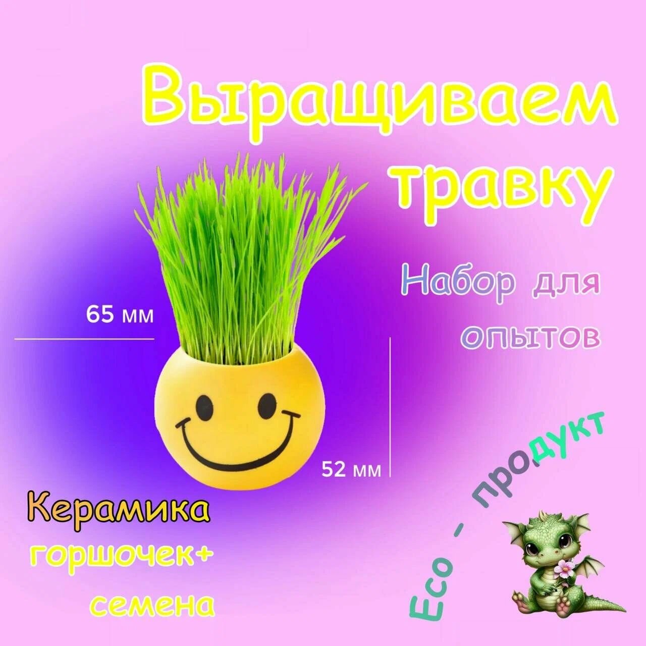 Набор для опытов Смайлик керамика