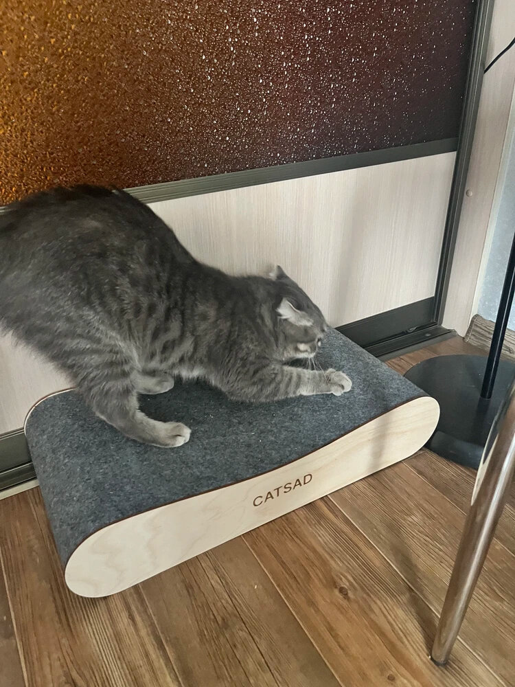 Когтеточка лежанка для кошек из ковролина CATSAD (не картонная) — фото 1