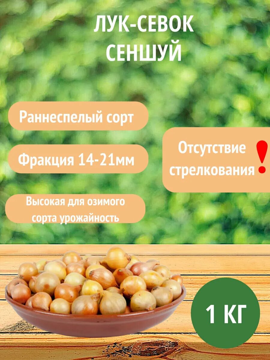 Лук-севок Сеншуй, 1 кг