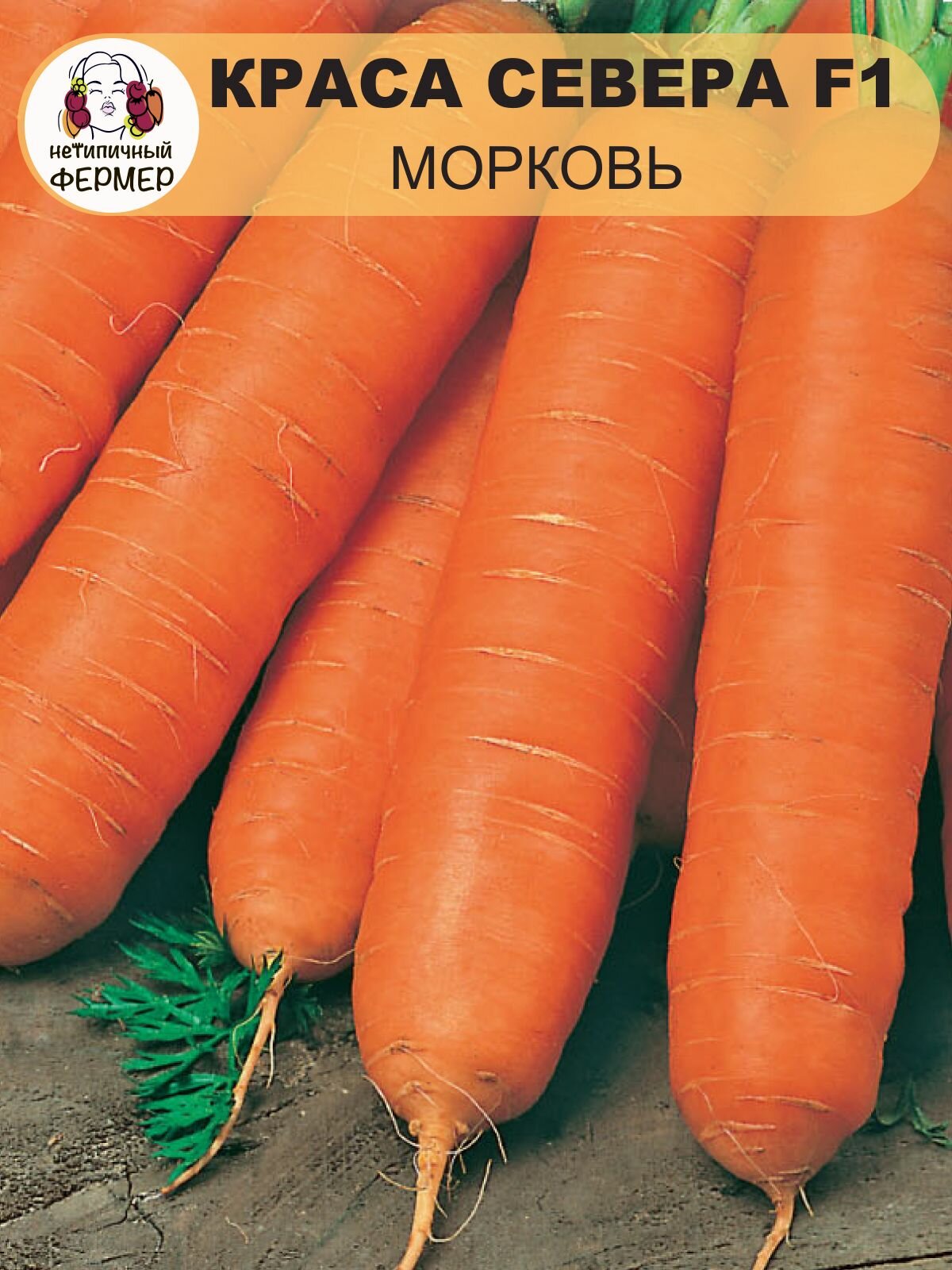 Семена моркови Нетипичный фермер 