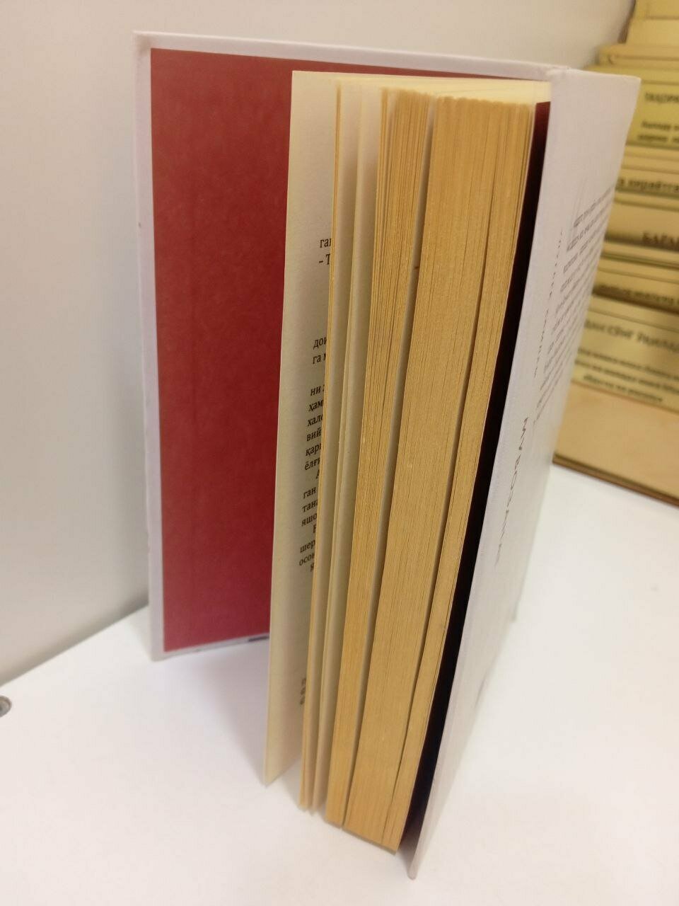 Книга Улугбека Хамдама «Баланс», твердый переплет, 2024 год, 336 страниц, роман.