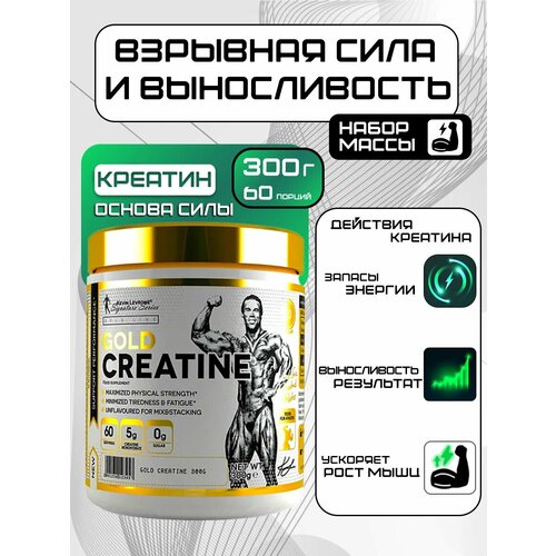 Kevin Levrone Gold Creatine, креатина моногидрат порошок, 300 г.