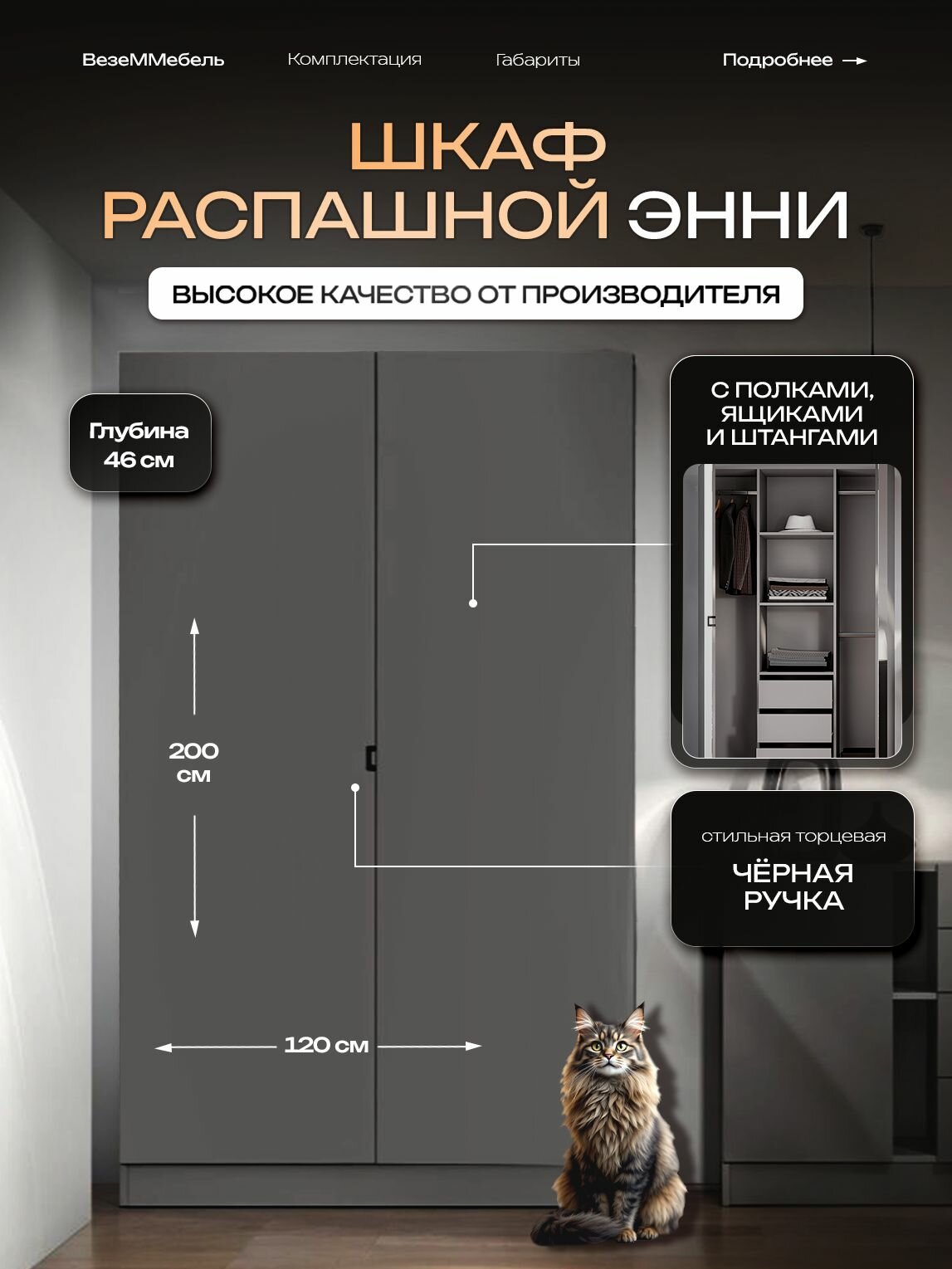 Шкаф распашной для одежды ВезеММебель "Энни", со штангой, с ящиками, и полками, ЛДСП, 120x46x200 см, графитт