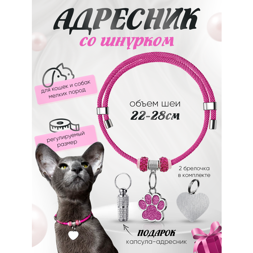 фото Ошейник шнурок "балуем котика", для кошек и собак, с адресником