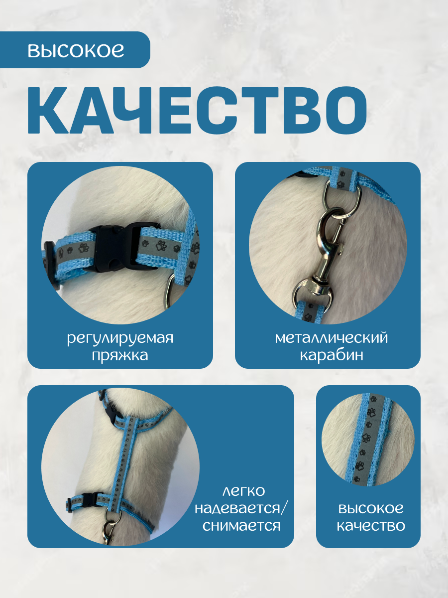 Светоотражающая шлейка с поводком ZooWell для кошек универсальная, шлейка для кошек — фото 1