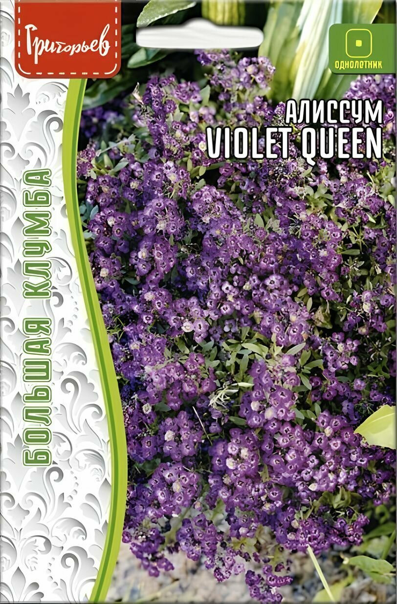 Алиссум Violet Queen 01г /Редкие семена