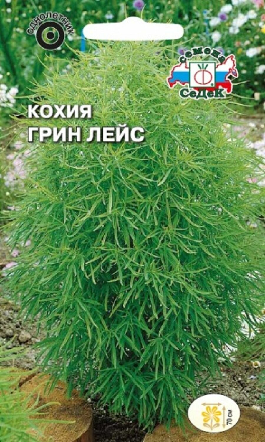 Кохия Грин лейс( веничная) 03г / Седек