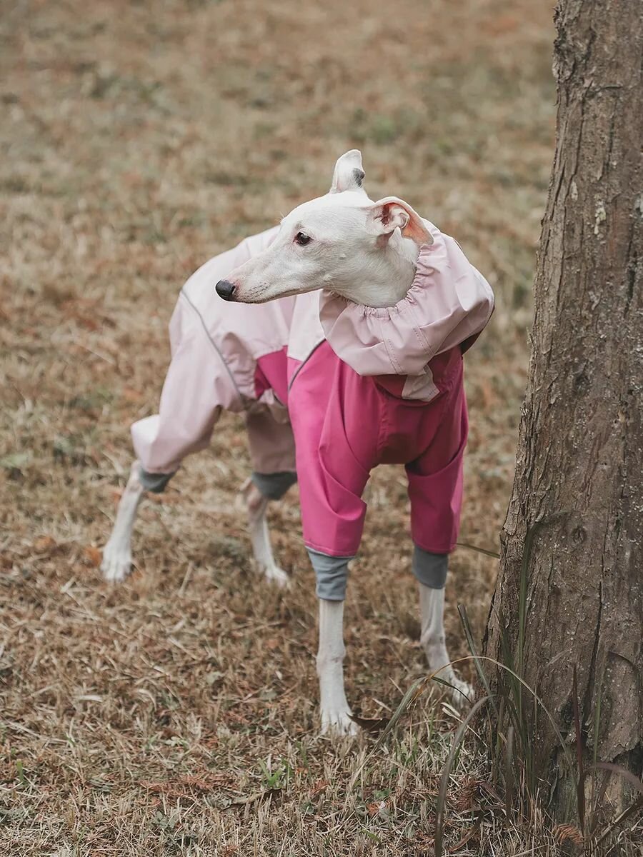 Дождевик комбинезон для собак