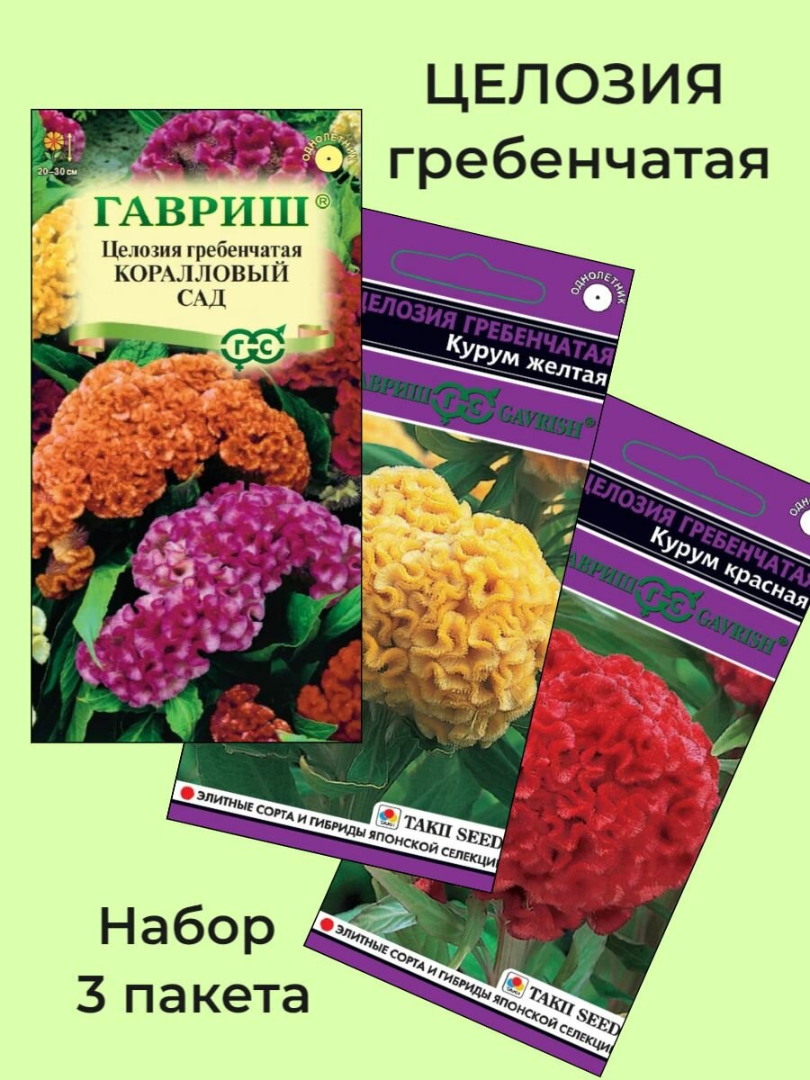 Семена Целозия Гребенчатая 3 сорта