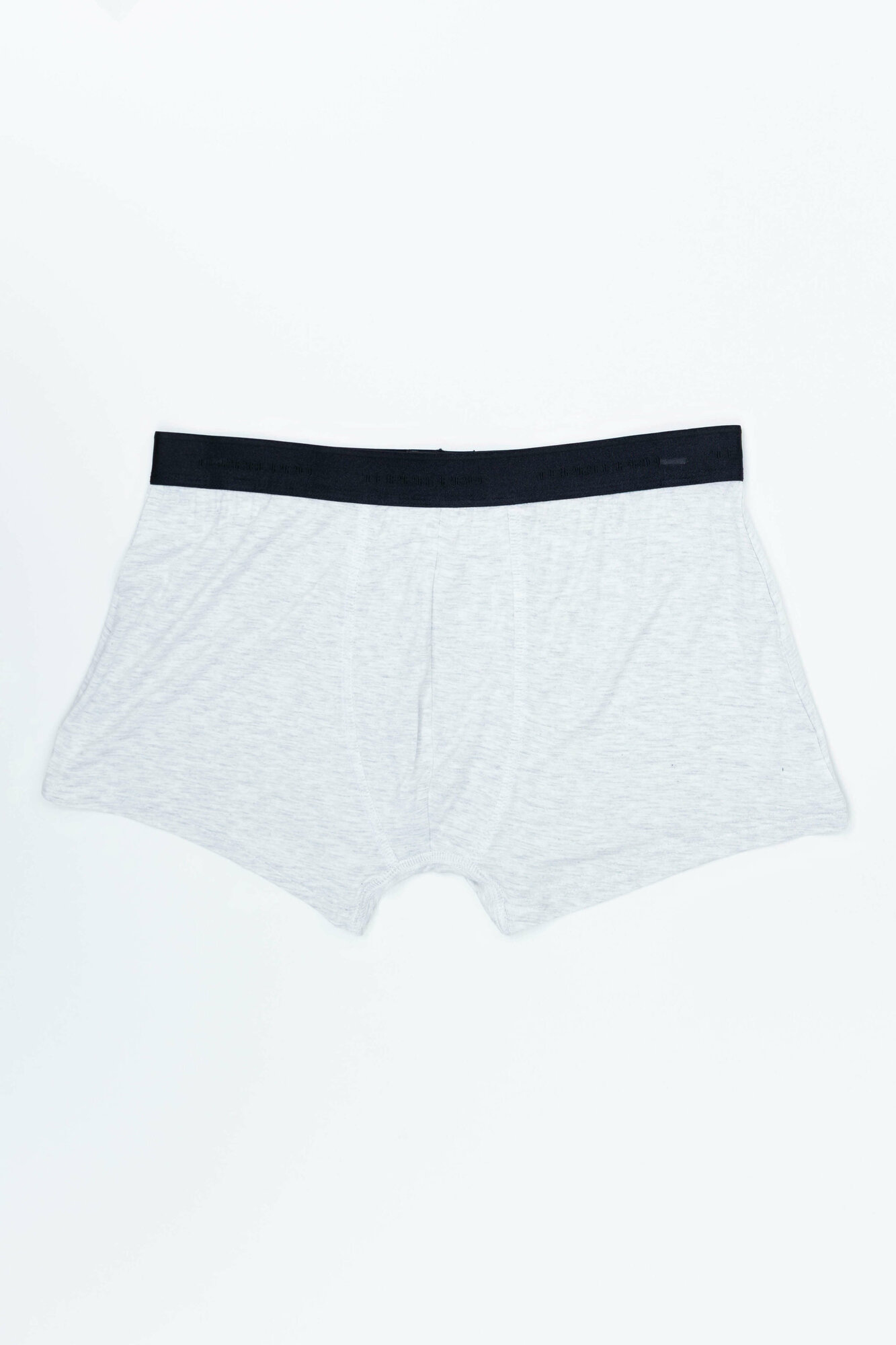 Трусы TERRA PRO, размер L, light grey