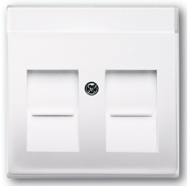 Накладка для двойных розеток 2хRJ11 2хRJ45 ABB Basic 55 с полем для надписи альпийский белый 2CKA001710A3945