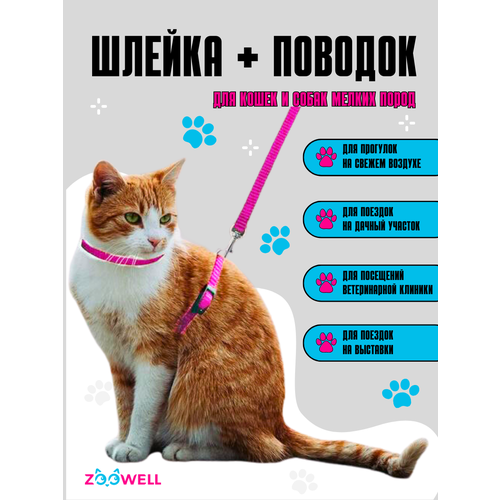 Шлейка для кошек и собак мелких пород с поводком, ZOOWELL, розовая