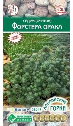 Седум (очиток) Форстера Оракл 10семян /Евросемена