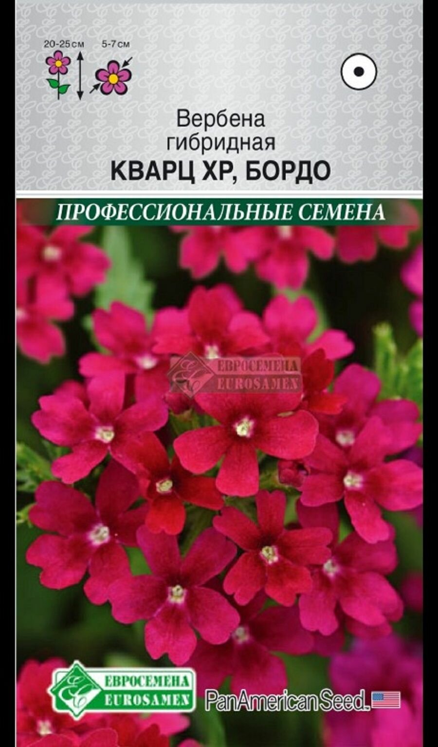 Вербена кварц ХР Бордо гибридная 5 семян PanAmSeeds / Евросемена
