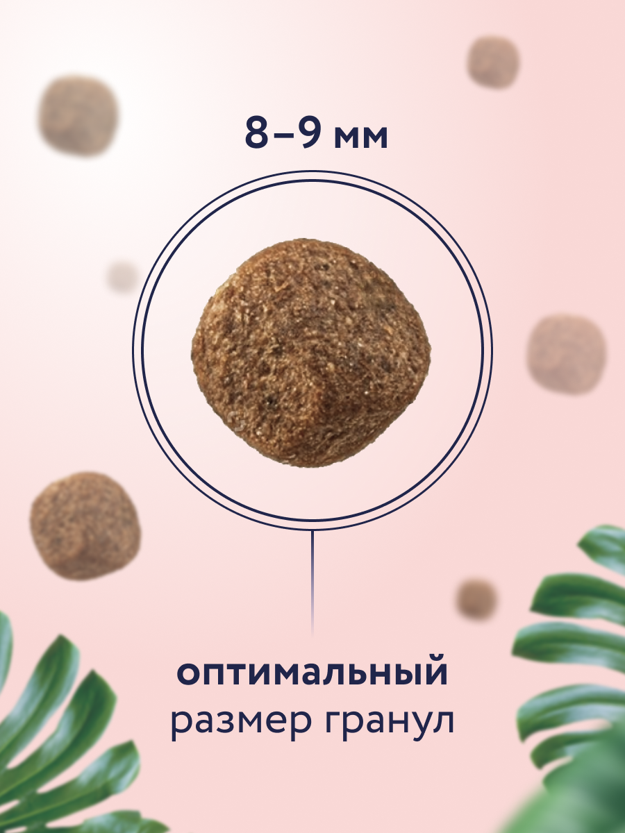 FLORIDA Сухой корм для стерилизованных домашних кошек с телятиной и дыней, Indoor Sterilised 33 Veal, 3+1 кг — фото 1