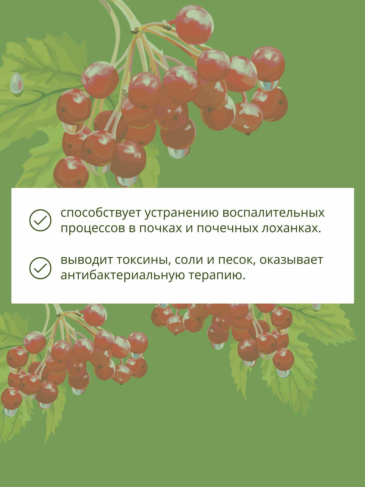 Картинки Травяной сбор при пиелонефрите № 16 почечный чай мочегонный, при воспалении почек, мочевого пузыря, цистите