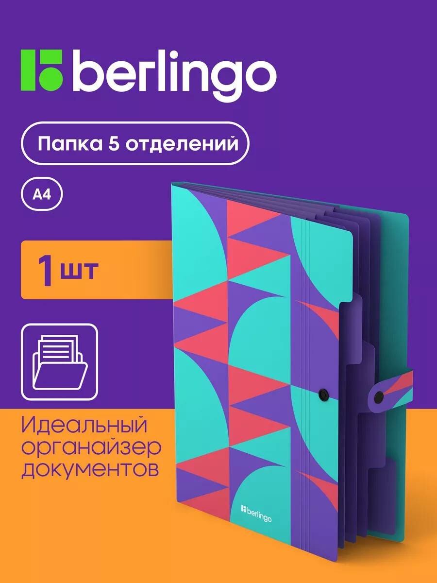 Папка органайзер для документов Berlingo "Neonometry", А4, семейная, 600 мкм, на кнопке