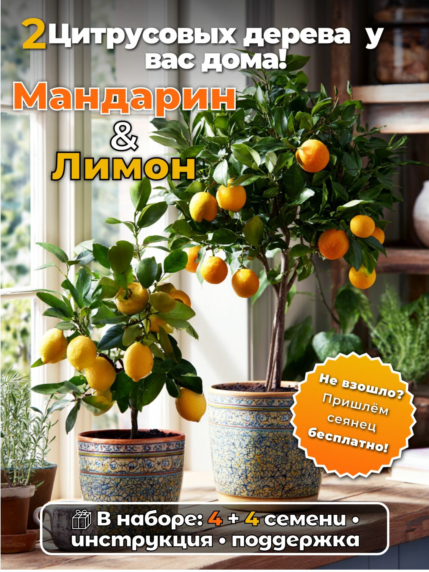 Набор семян лимона и мандарина (4+4)/Цитрусовое дерево дома Инструкция + поддержка Гарантия всходов