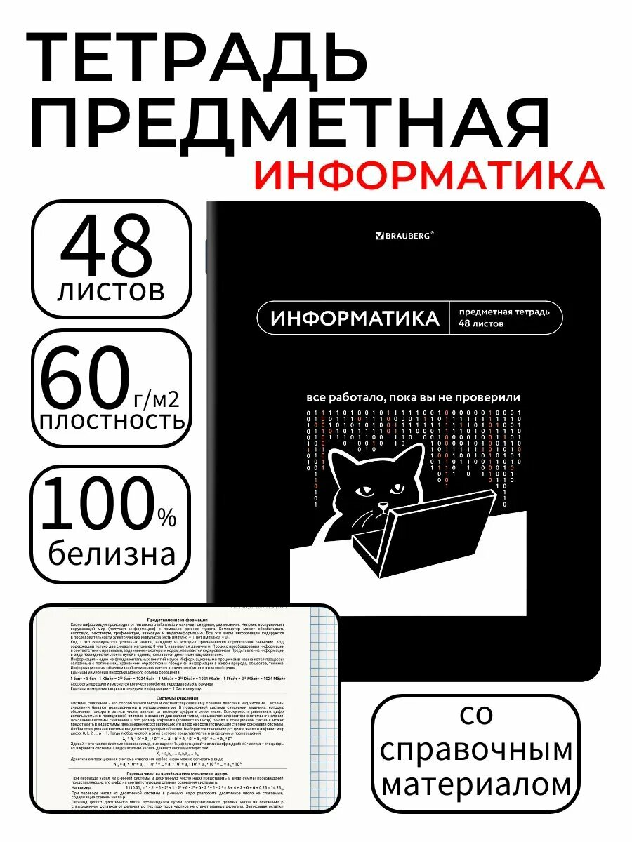 Предметная тетрадь по информатике, клетка, Мемы