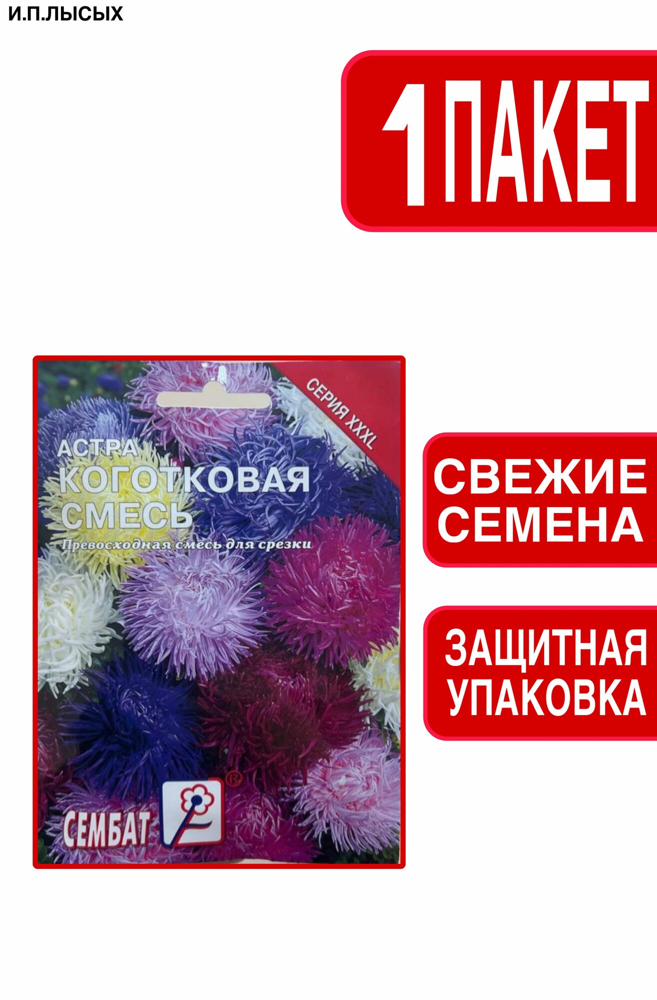 Семена астра коготковая XXXL