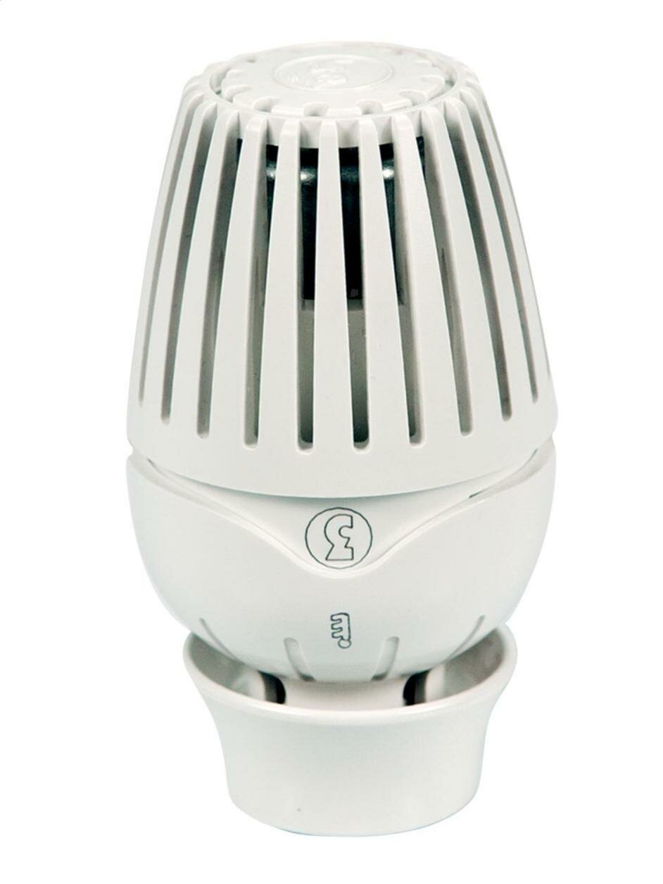 Термостатическая головка R460 с жидкостным элементом крепление Clip-clap Giacomini R460X001 lnd