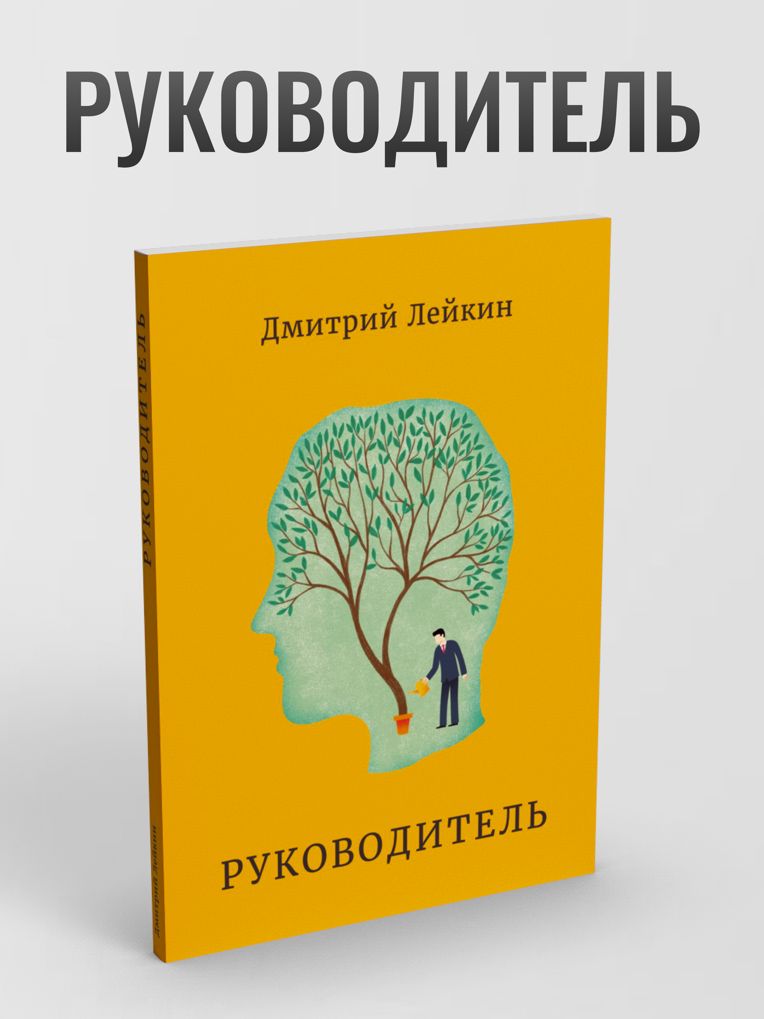 Руководитель