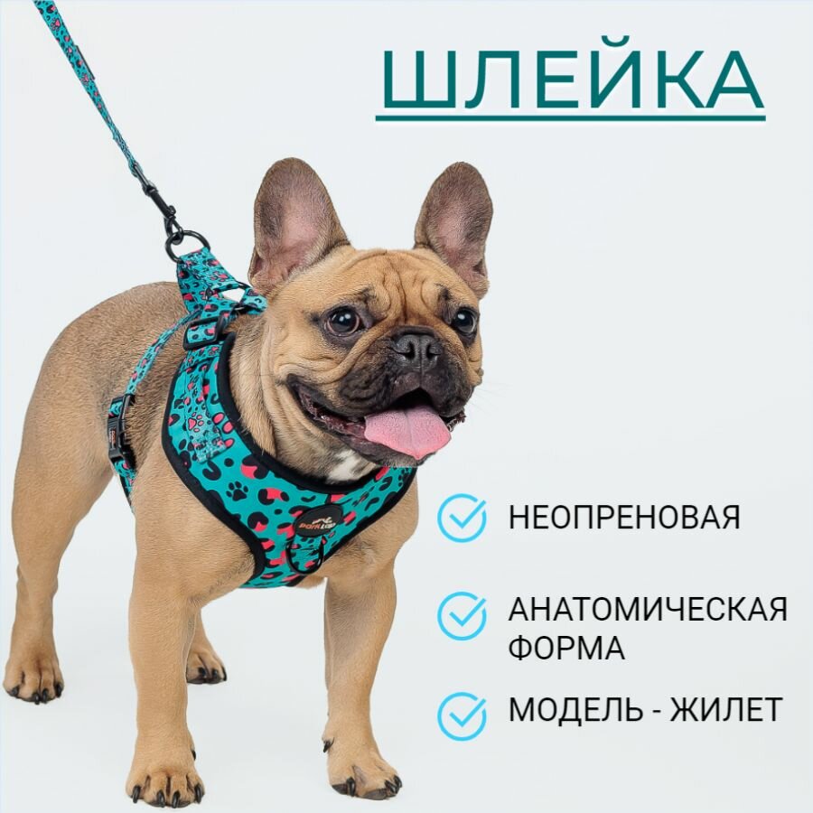 Неопреновая анатомическая шлейка, ГринЛео, L