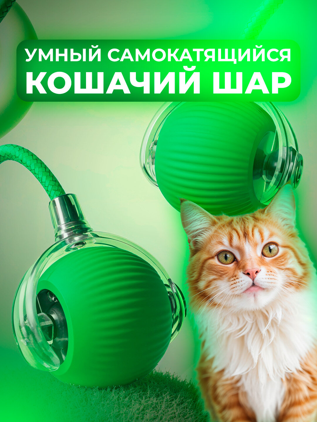 Умный самокатящийся кошачий шар