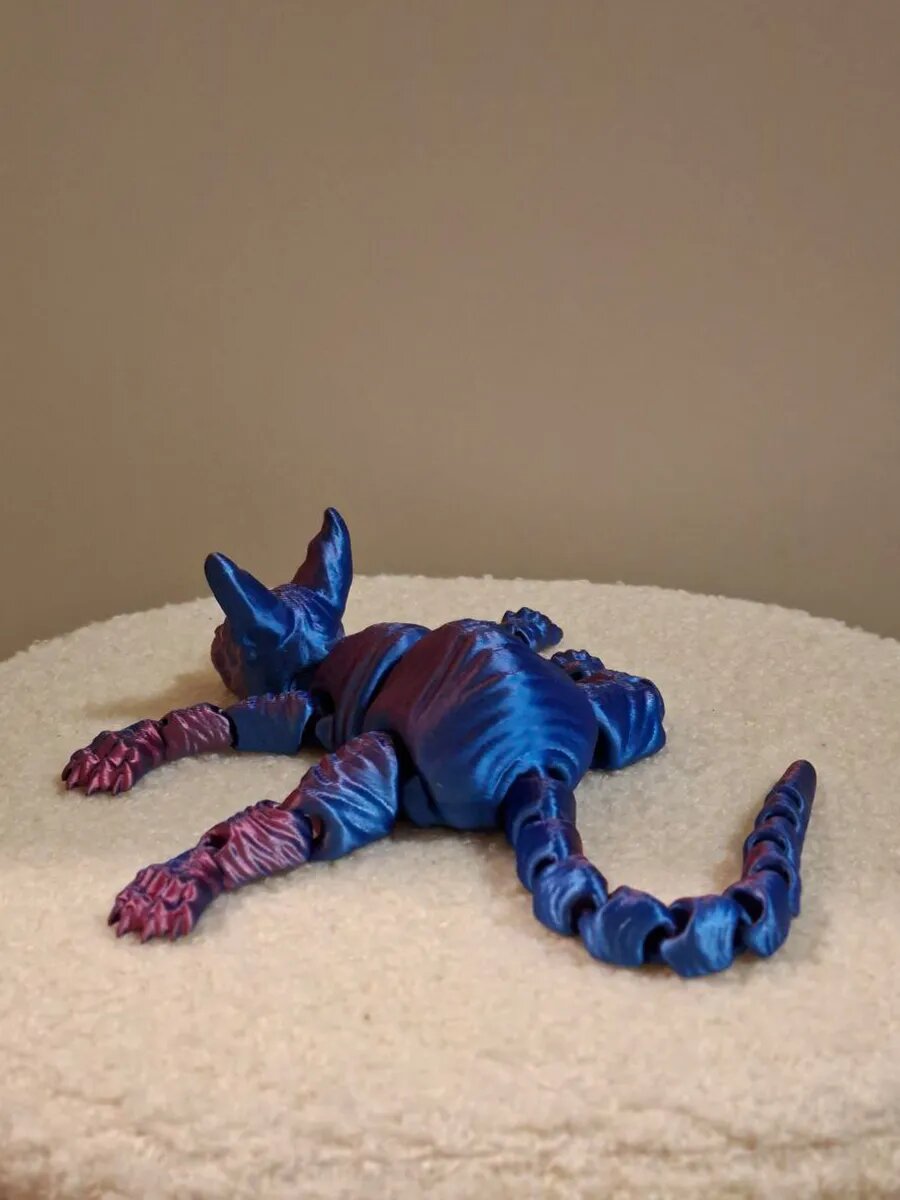 Сфинкс котик подвижный — фото 1