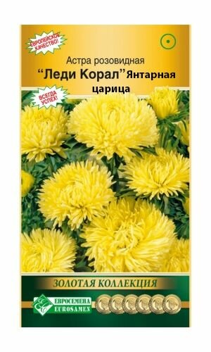 Астра Леди Корал Янтарная царица /15 семян/ Евросемена