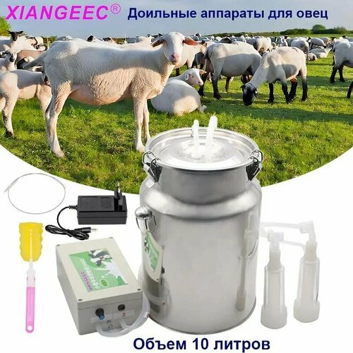 Доильный Аппарат для Коз, Портативный, Пульсационный, Вакуумный Насос, С Ведром Из Нержавеющей Стали, 10 Л