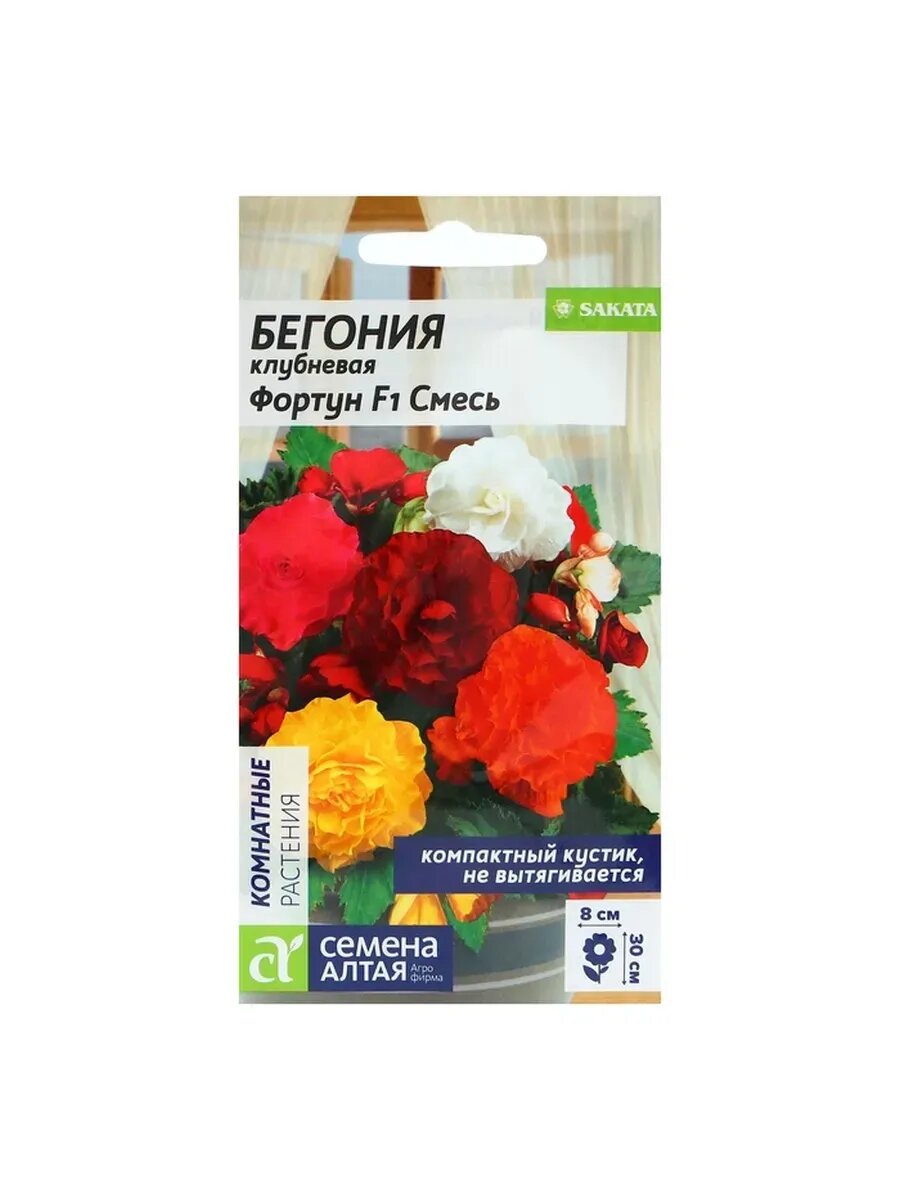 3 упак Семена цветов Бегония 