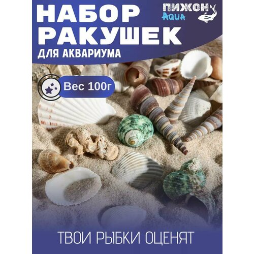 Набор ракушек Пижон Аква 100 г, микс №1