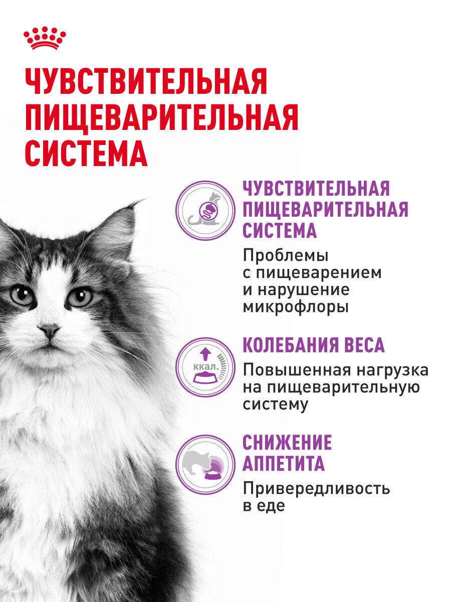 Сухой корм для кошек Royal Canin Sensible 33 для чувствительной пищеварительной системы, 0,4 кг — фото 1