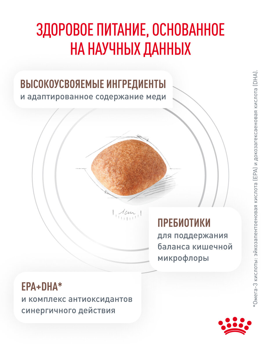 Сухой корм для собак Royal Canin Hepatic при заболеваниях печени, 1,5 кг — фото 1